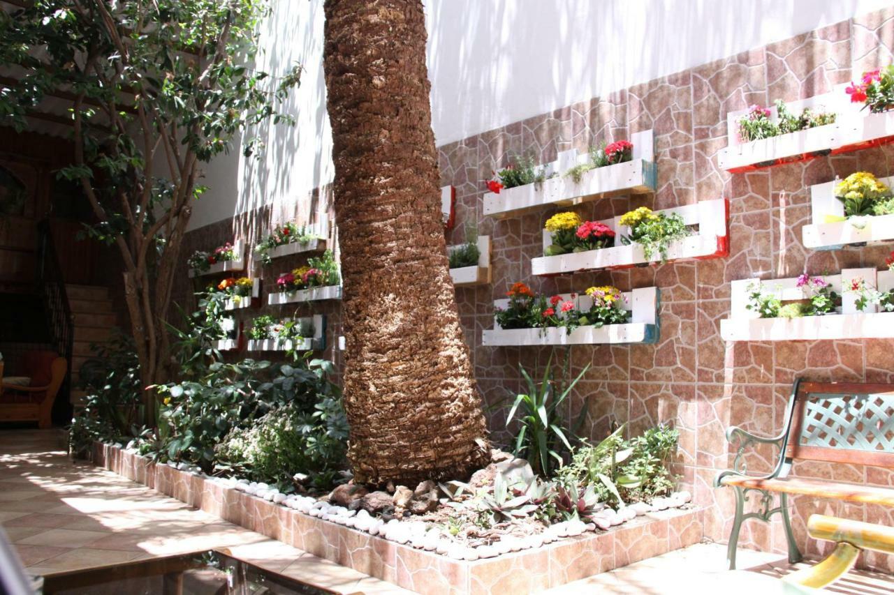 Casa The Garden Las Palmas Las Palmas de Gran Canaria Exterior foto